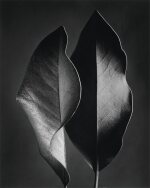 'Two Leaves'