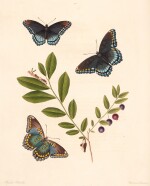 John Abbot and James Edward Smith | The natural history of the rare lepidopterous insects of Georgia, 1797, 2 volumes