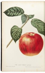 HOVEY, CHARLES MASON | The Fruits of America, containing richly colored figures and full descriptions of all the choicest varieties cultivated in the United States. Boston & New York: [Vol.I] Hovey & Co. and D. Appleton & Co. in New York, [Vol. II] Hovey & Co., [1847-]1852-1856