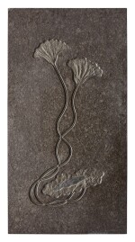 A Double Fossil Sea Lily Mural