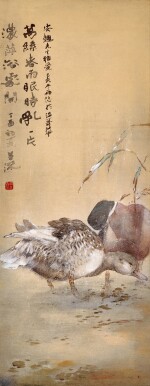 楊善深 葦畔雙鳧 | Yang Shanshen, Mallards by the Reeds