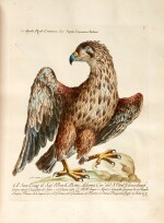 Saverio Manetti | Storia naturale degli uccelli, Florence, 1767-1776, 5 vols, fine contemporary calf gilt