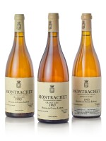 Montrachet 1993 Domaine des Comtes Lafon (2 BT)